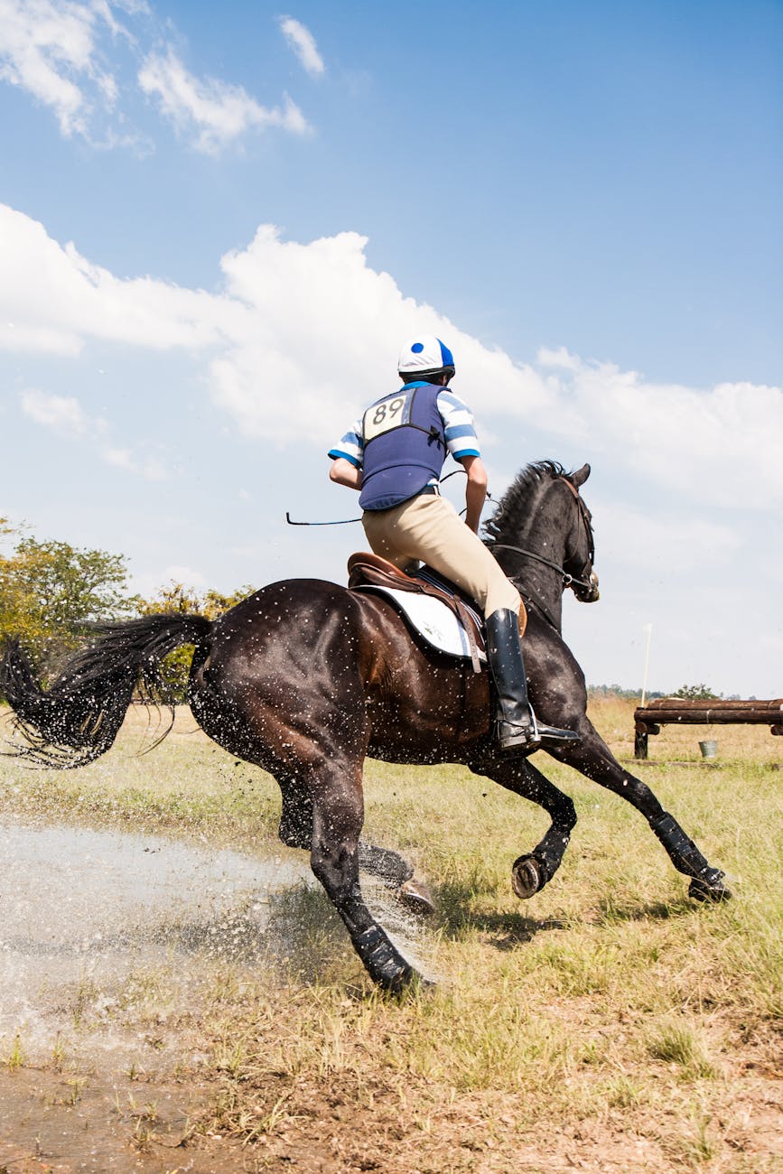 person horseback riding outdoors